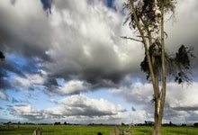 超凡国际：米体：邓弗里斯将缺席对阵拜仁两回合比赛，目标四月底之前复出.