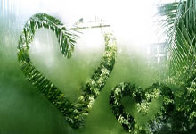 中新社｜中国体育明星GARY的飞机事件XXNN背后的故事 - 蓝漫....