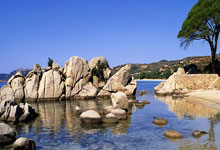 超凡国际：郑钦文澳网第二轮对手出炉 将对阵老将西格蒙德.